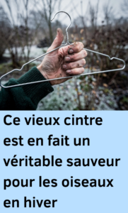 un vieux cintre en mangeoire pour oiseaux