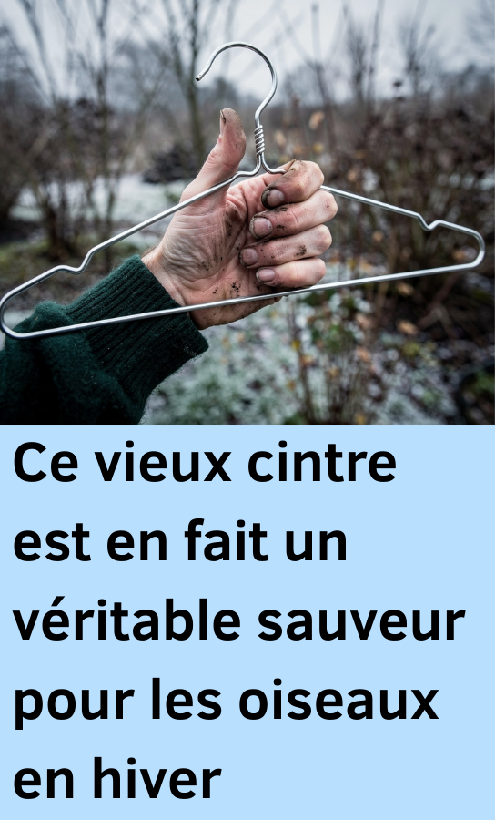 un vieux cintre en mangeoire pour oiseaux