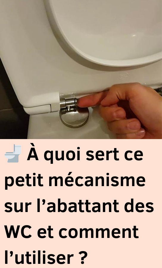 mécanisme sur l’abattant des WC