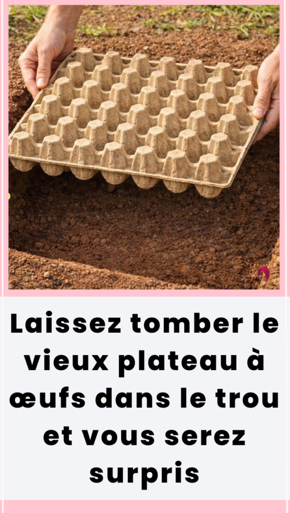 Laissez tomber le vieux plateau à œufs dans le trou