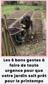 🌿 Les 6 bons gestes à faire de toute urgence pour que votre jardin soit prêt pour le printemps