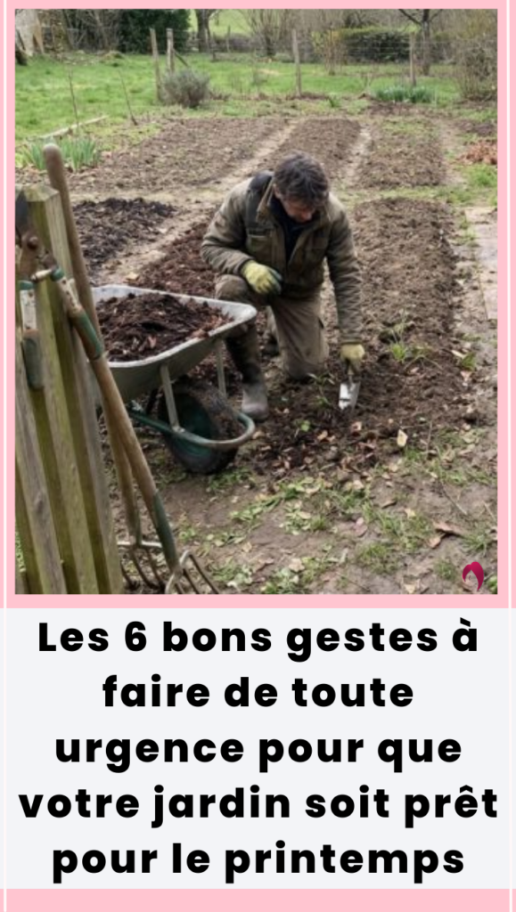 🌿 Les 6 bons gestes à faire de toute urgence pour que votre jardin soit prêt pour le printemps