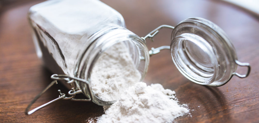 Découvrez la terre de diatomée