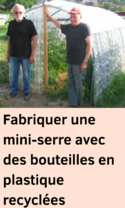 mini-serre avec des bouteilles en plastique