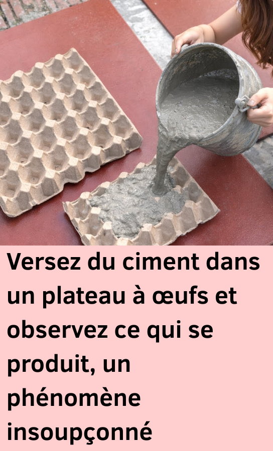 Transformer un Plateau d'Œufs 