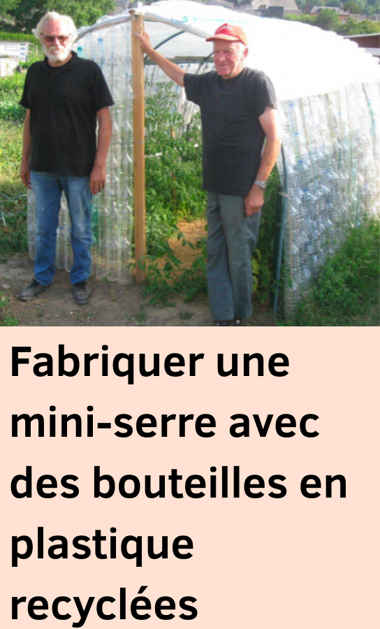  mini-serre avec des bouteilles en plastique