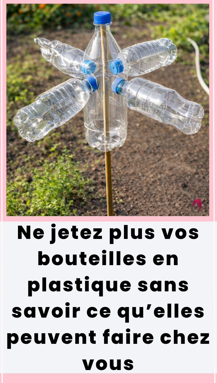 Ne jetez plus vos bouteilles en plastique