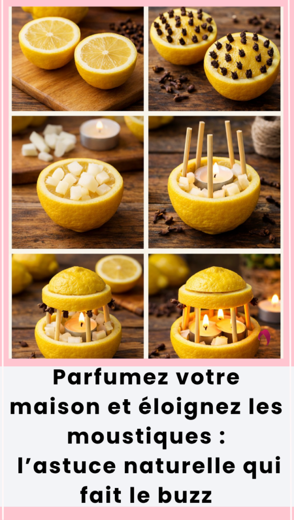  Parfumez votre maison et éloignez les moustiques 