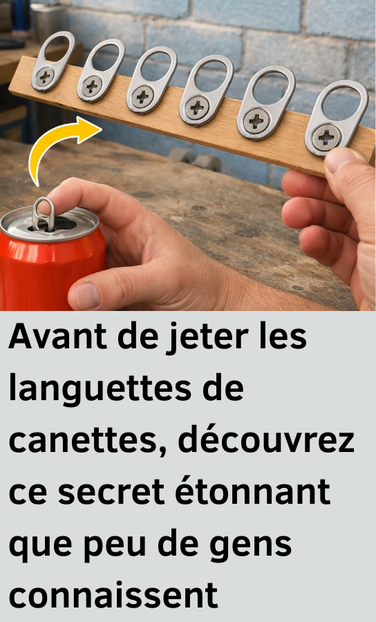  les languettes de canettes,