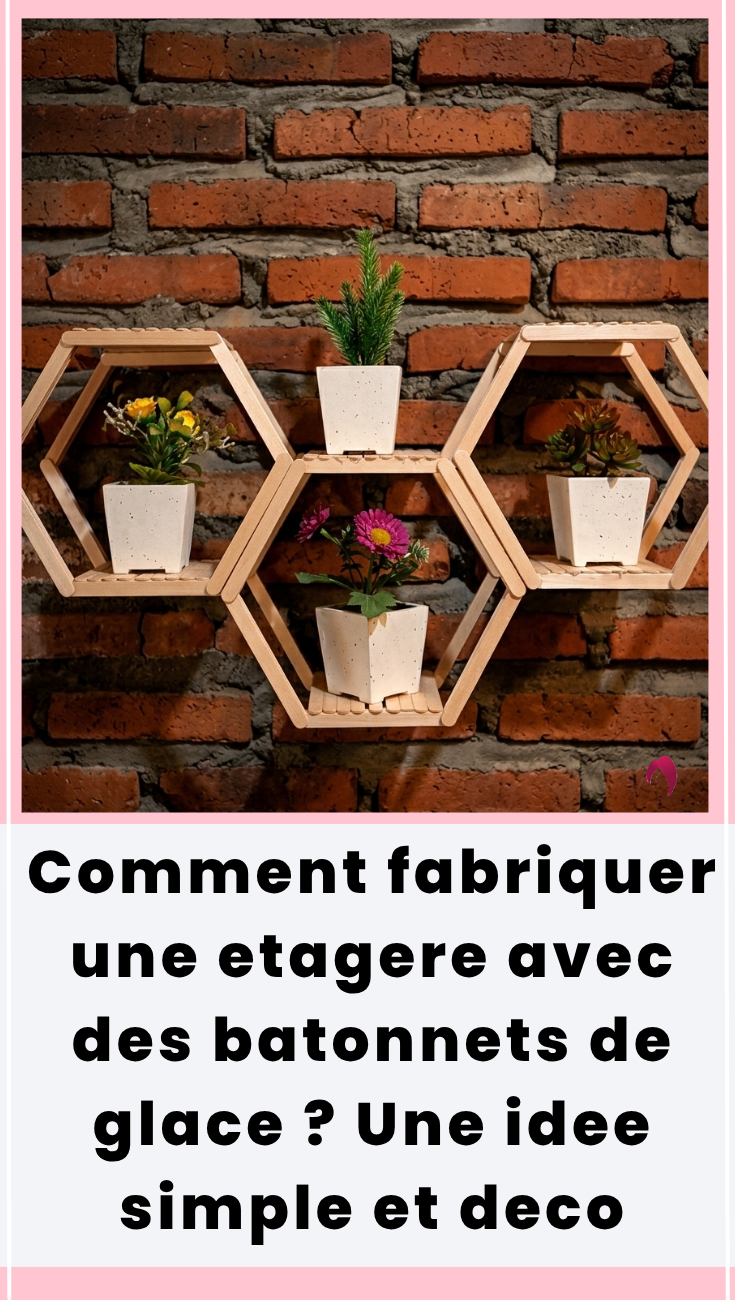  etagere avec des batonnets de glace 