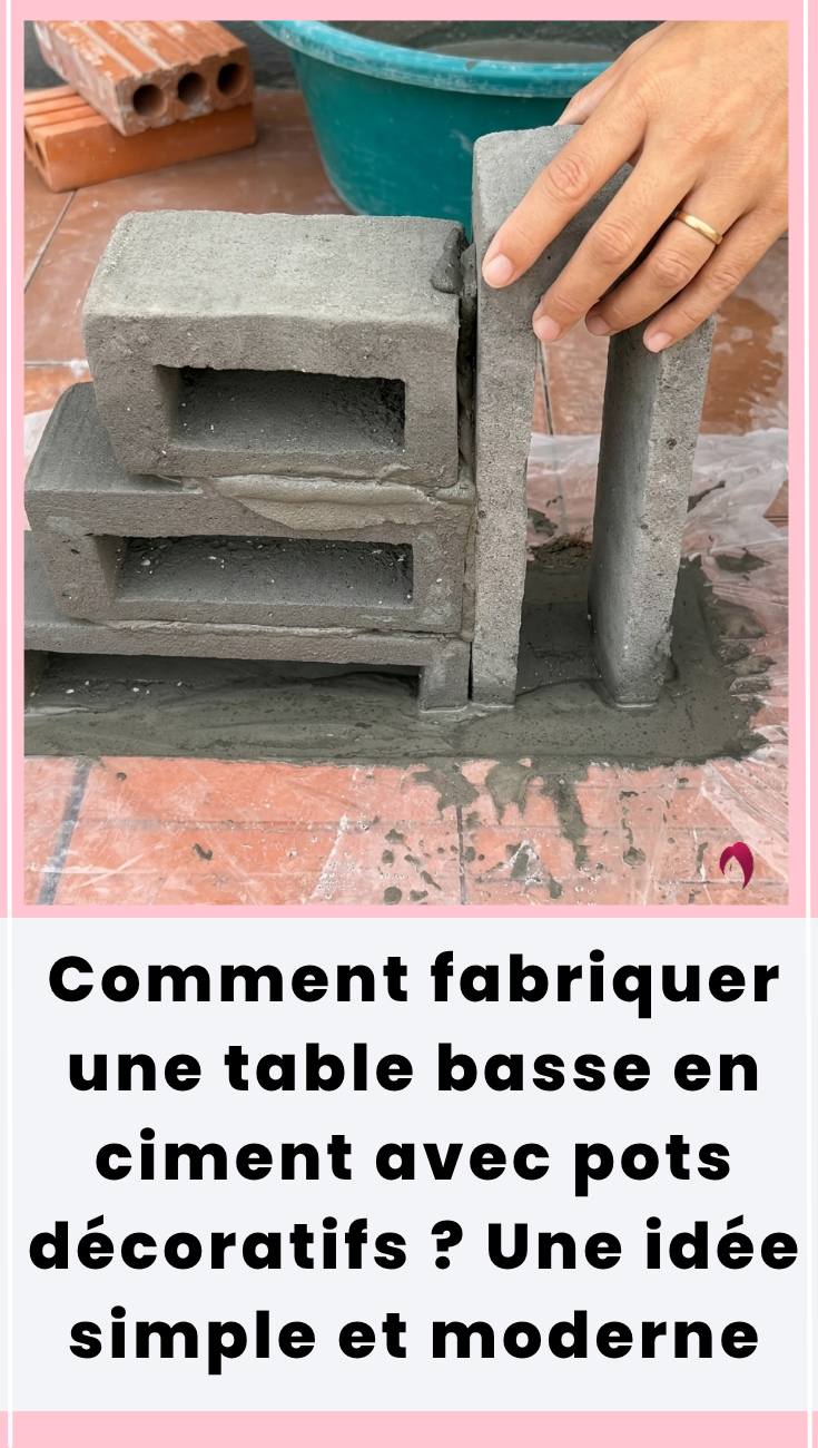 Table basse ciment avec pots decoratifs modernes