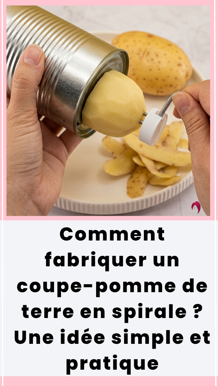 coupe pomme spirale