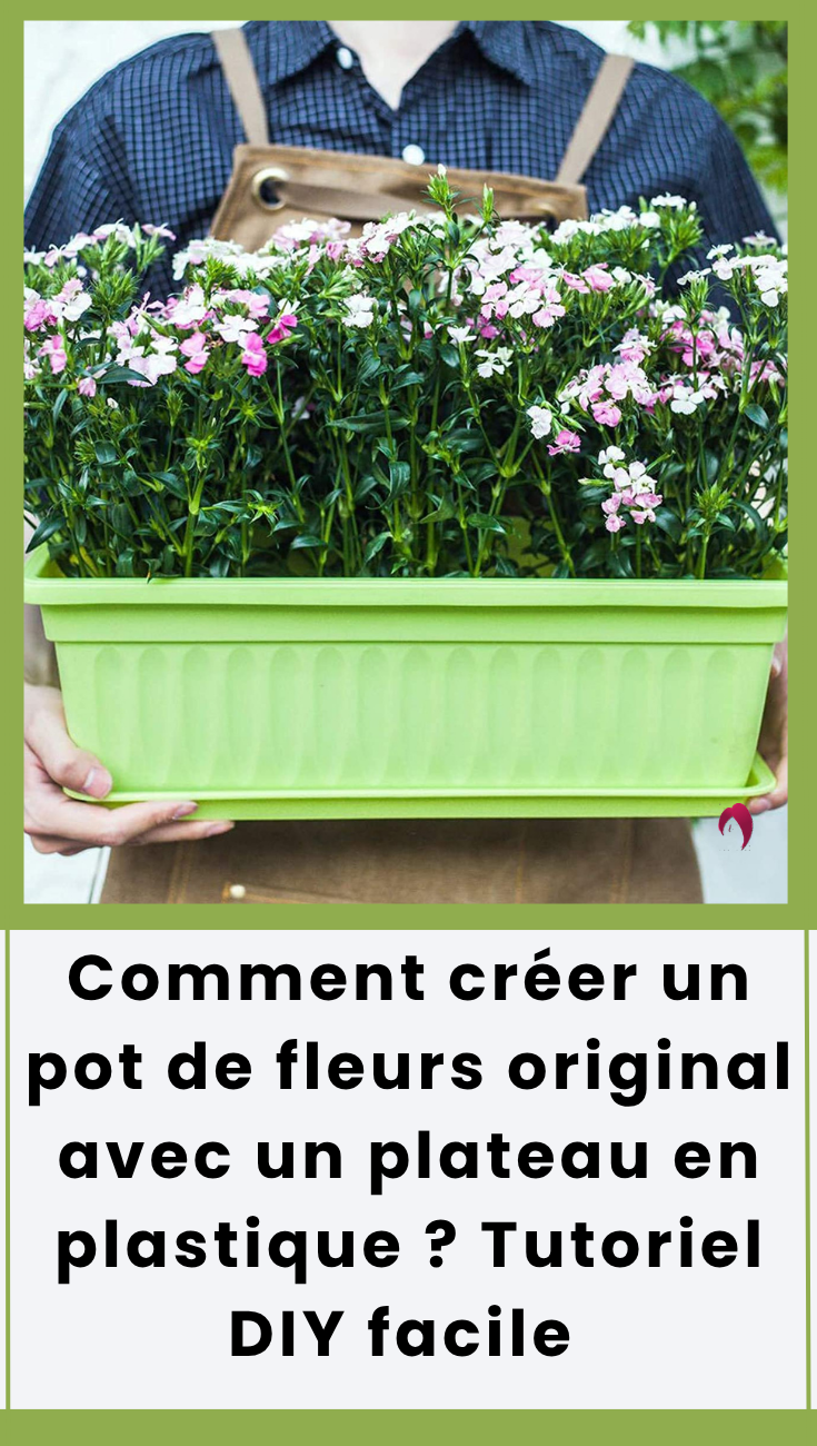 pot de fleurs DIY fabriqué avec un plateau en plastique et du ciment, résultat final