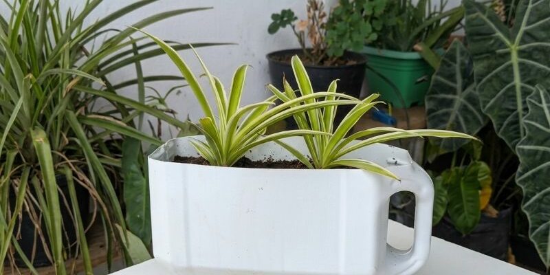 Jardiniere bidon plastique facile et decoratif