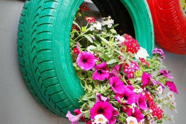 pot de fleurs, jardin
