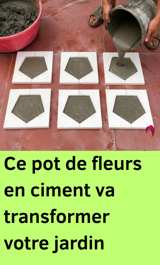 pot fleurs ciment decoratif