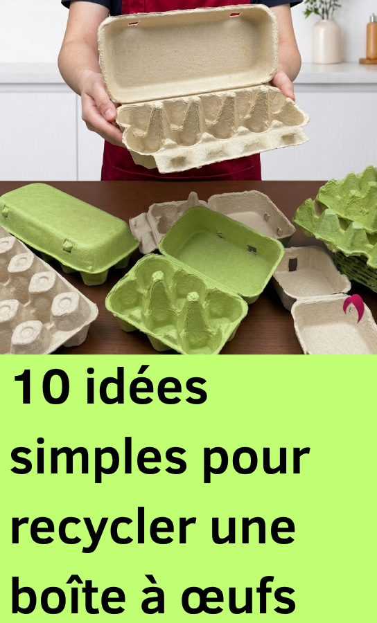 recycler boite oeufs