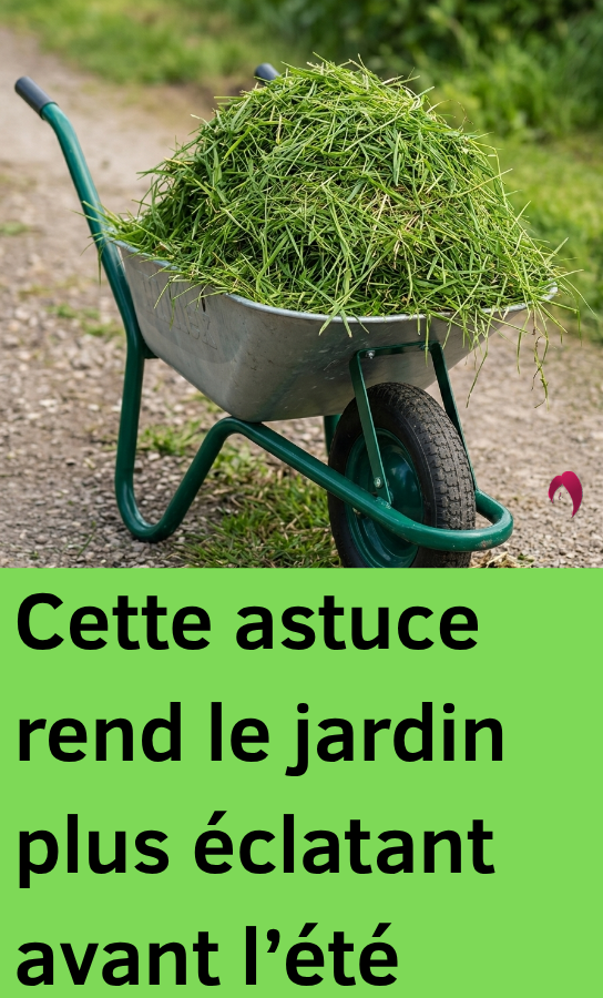 Éliminez la mousse du jardin avec cette méthode simple pour retrouver une pelouse plus propre et plus verte.