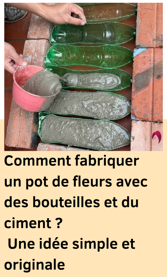 Pot fleurs bouteilles ciment simple et decoratif