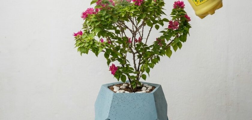 pot fleurs ciment decoratif