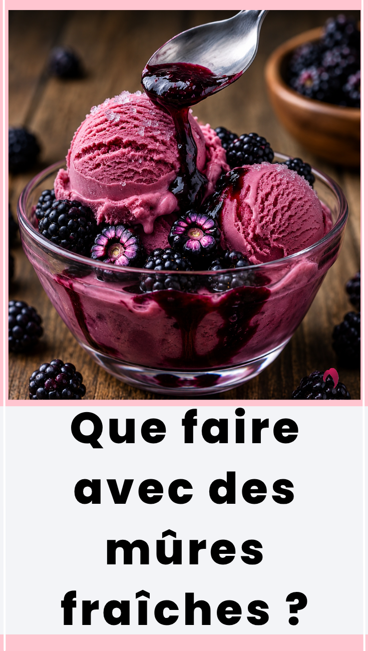 dessert aux mûres