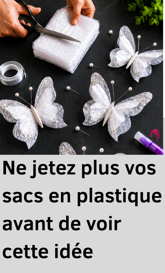 papillons décoratifs