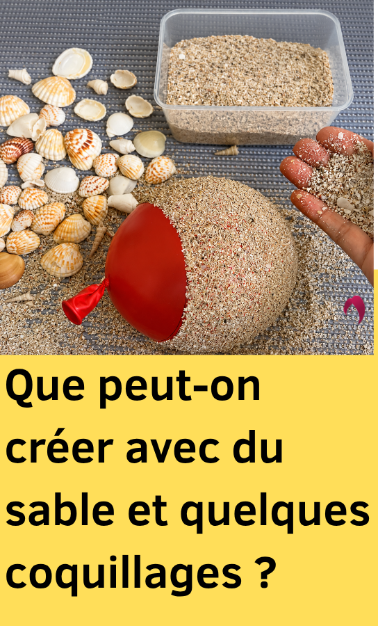 fleurs coquillages