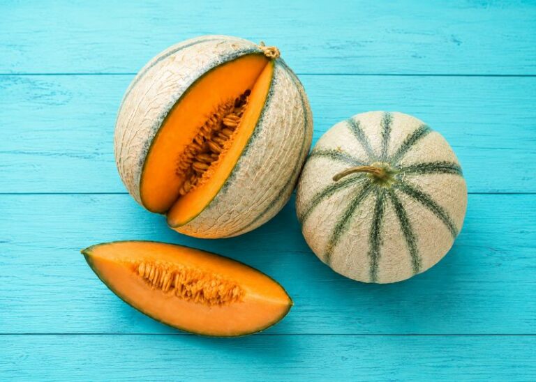 bienfaits du melon