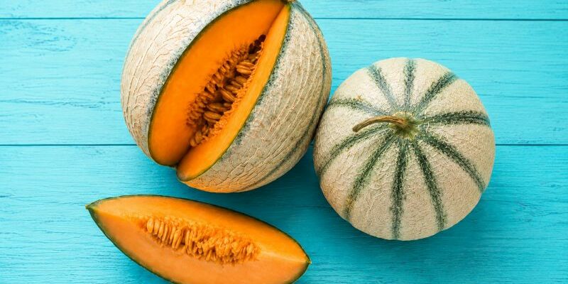 bienfaits du melon