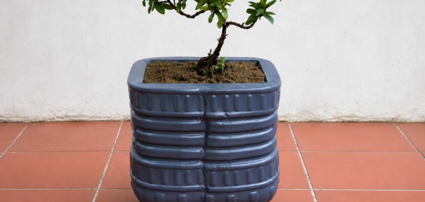bouteilles-en-plastique