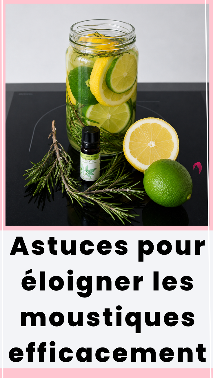 Astuces pour éloigner les moustiques efficacement