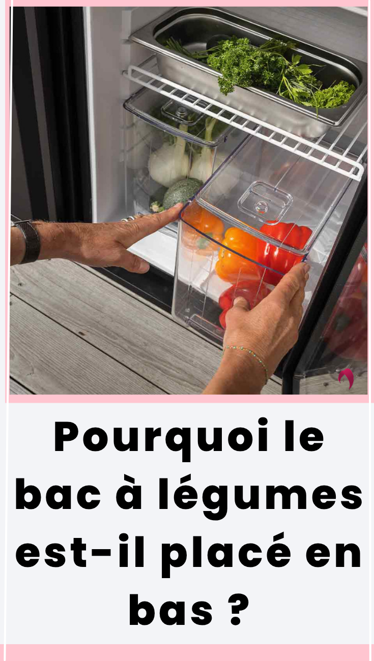 Pourquoi le bac à légumes est-il placé en bas ?