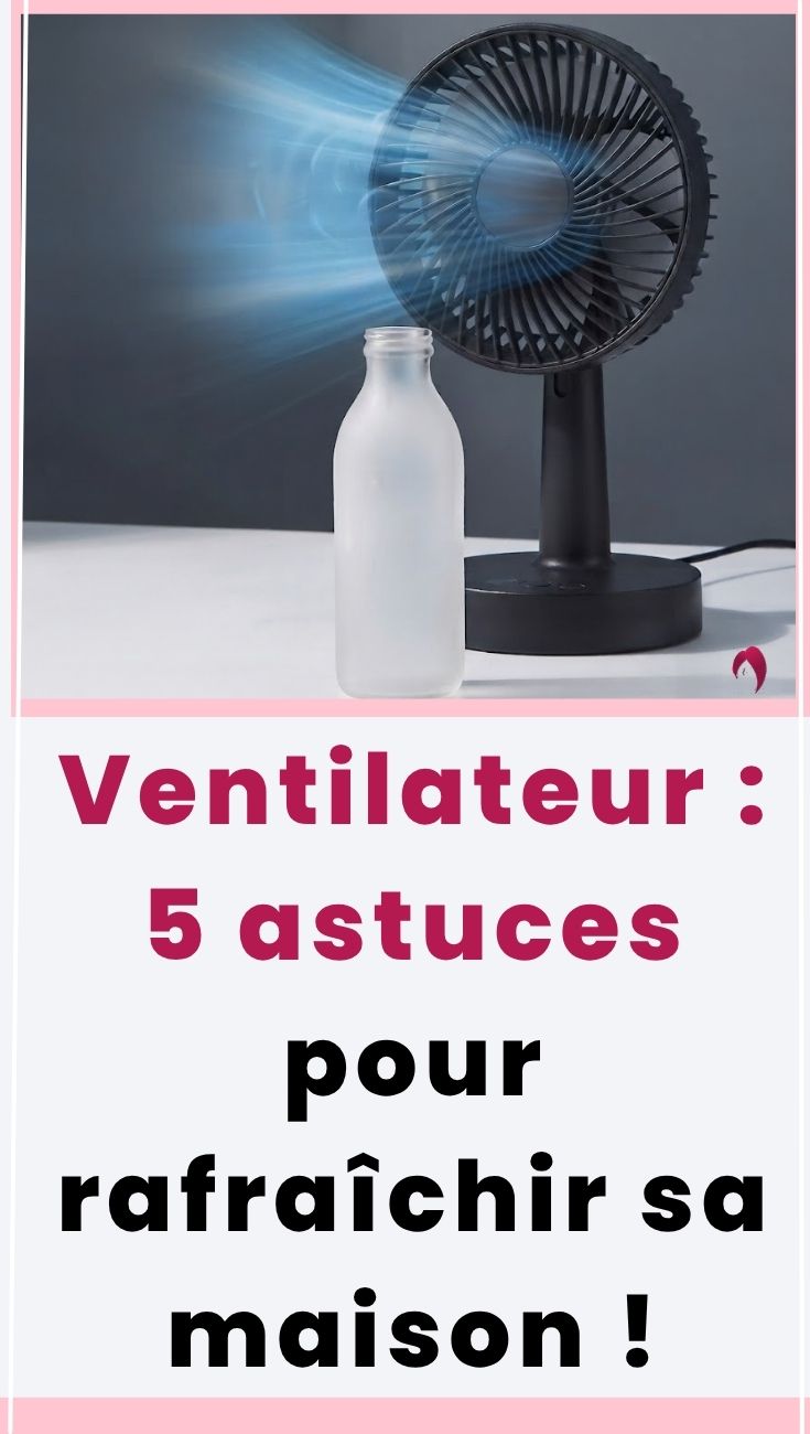 ventilateur canicule