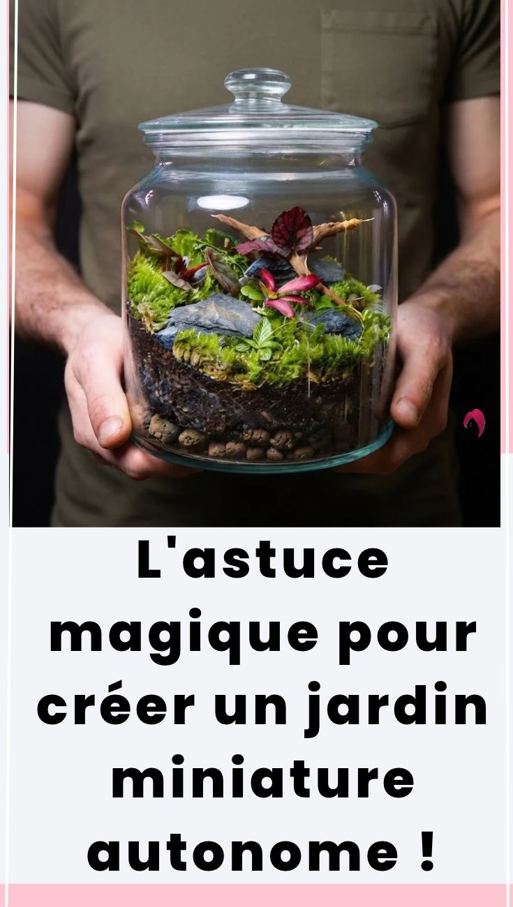 Terrarium maison