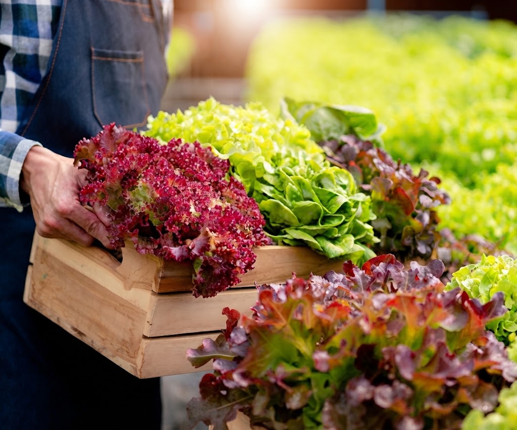 salades d'automne
