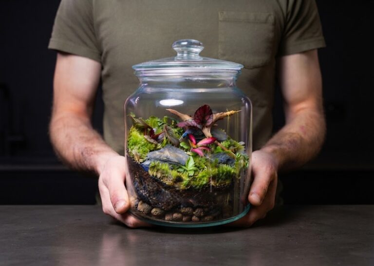 Terrarium maison