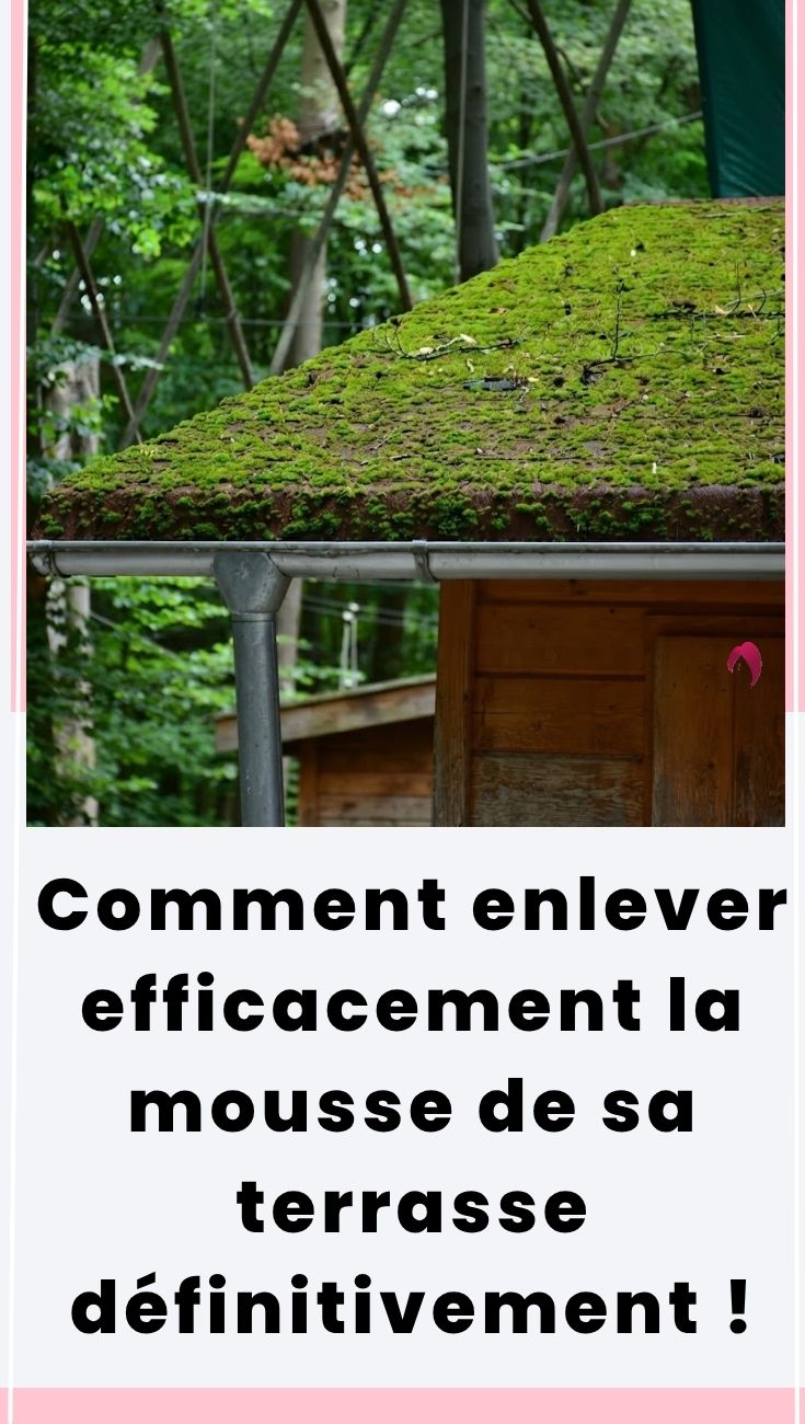 Comment enlever efficacement la mousse de sa terrasse définitivement !