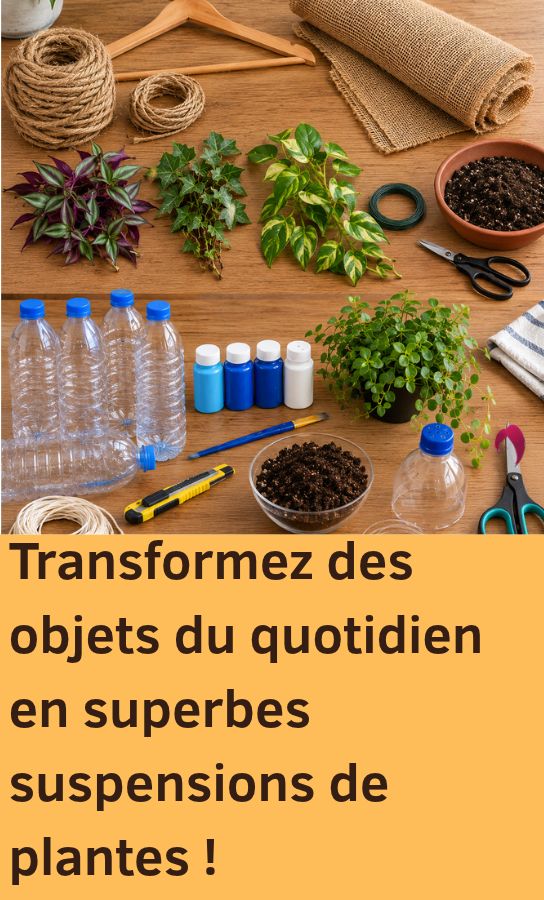 Transformez des objets du quotidien en superbes suspensions de plantes !