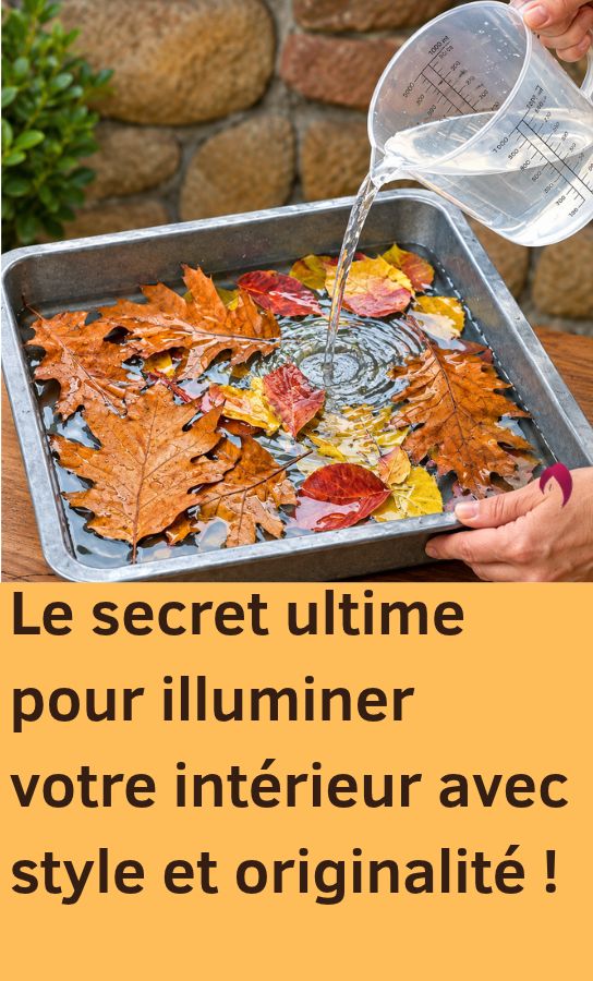 Créations décoratives d'automne