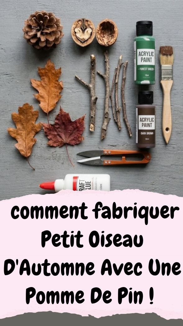 Tuto Oiseau Décoratif Automne Pomme De Pin Et Noix