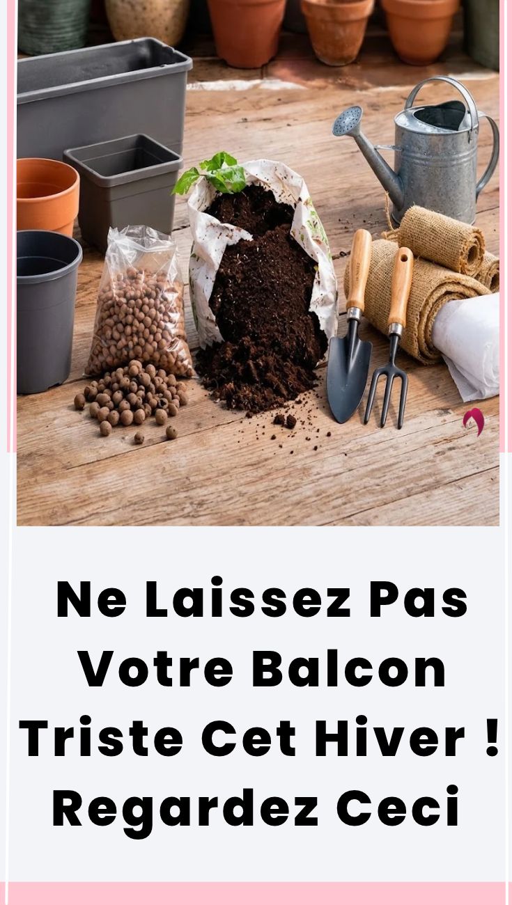 Fleurir Son Balcon En Hiver : 12 Plantes Résistantes Au Froid